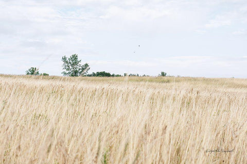 On the Edge II White Modern Wood Framed Art Print with Double Matting by Urquhart, Elizabeth