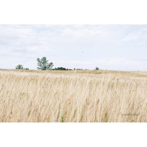 On the Edge II Black Modern Wood Framed Art Print with Double Matting by Urquhart, Elizabeth