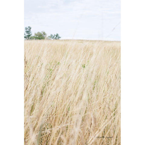 On the Edge III Black Modern Wood Framed Art Print with Double Matting by Urquhart, Elizabeth