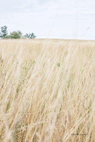 On the Edge III Black Ornate Wood Framed Art Print with Double Matting by Urquhart, Elizabeth