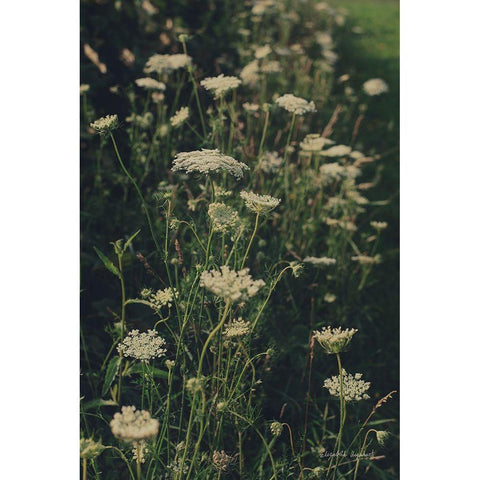 Running Wild I White Modern Wood Framed Art Print by Urquhart, Elizabeth