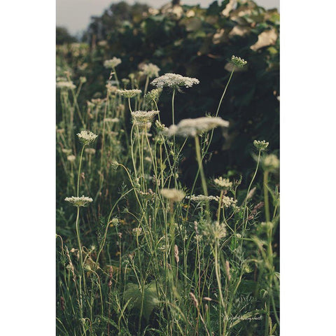 Running Wild II White Modern Wood Framed Art Print by Urquhart, Elizabeth