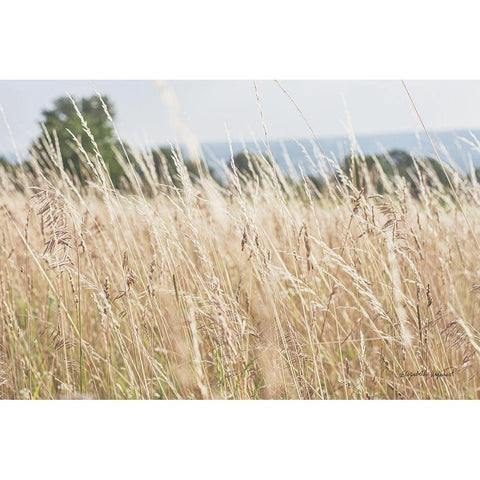 Summer Field I White Modern Wood Framed Art Print by Urquhart, Elizabeth