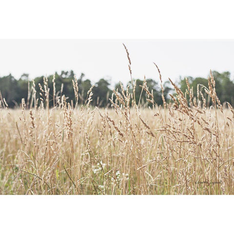 Summer Field II Black Modern Wood Framed Art Print by Urquhart, Elizabeth