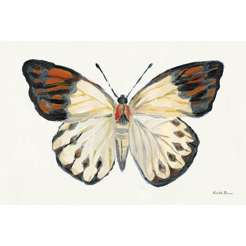 Butterfly Study I Black Modern Wood Framed Art Print with Double Matting by Zaman, Farida