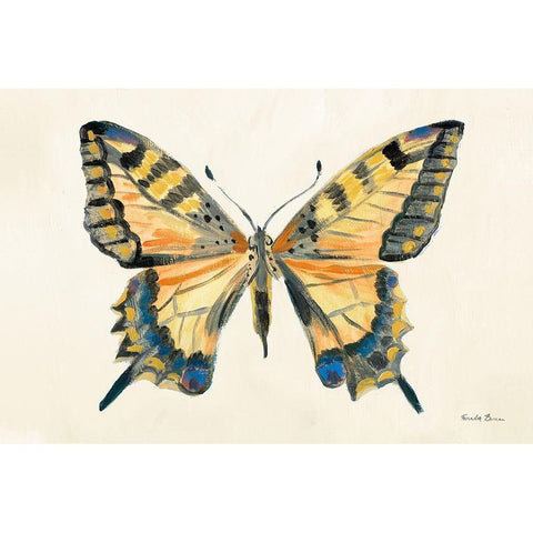 Butterfly Study II Gold Ornate Wood Framed Art Print with Double Matting by Zaman, Farida