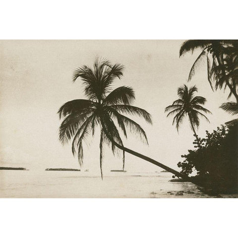 Palm Beach I Black Modern Wood Framed Art Print with Double Matting by Wild Apple Portfolio