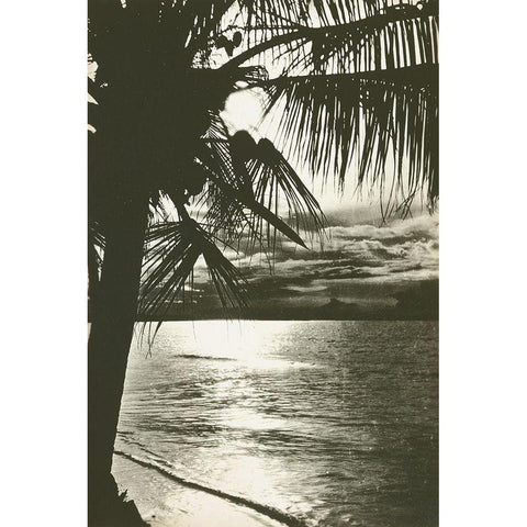 Palm Beach II Black Modern Wood Framed Art Print with Double Matting by Wild Apple Portfolio