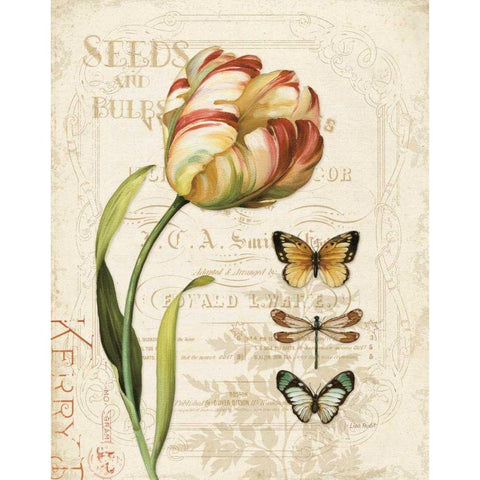 Mothers Treasure IV Black Modern Wood Framed Art Print with Double Matting by Audit, Lisa