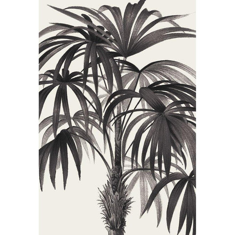 Riviera Palms II BW Gold Ornate Wood Framed Art Print with Double Matting by Wild Apple Portfolio