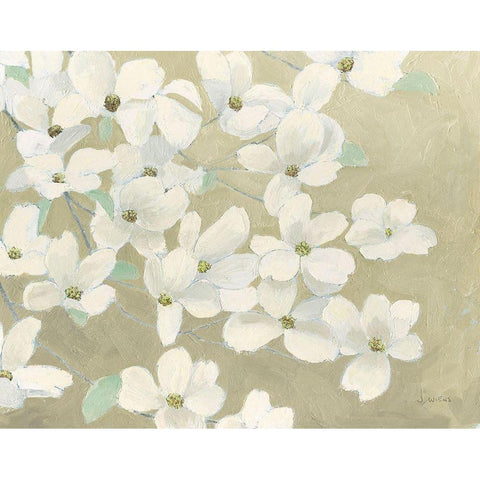 Dogwood Delight White Modern Wood Framed Art Print by Wiens, James