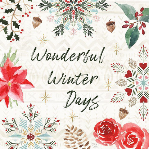 Winter Moment V White Modern Wood Framed Art Print with Double Matting by June, Dina