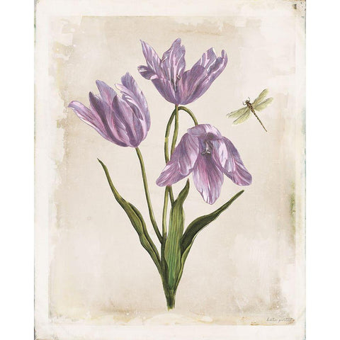 Antiquarian Blooms III Purple White Modern Wood Framed Art Print by Pertiet, Katie