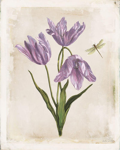 Antiquarian Blooms III Purple White Modern Wood Framed Art Print with Double Matting by Pertiet, Katie