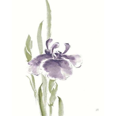 Japanese Iris II Purple Crop Gold Ornate Wood Framed Art Print with Double Matting by Paschke, Chris