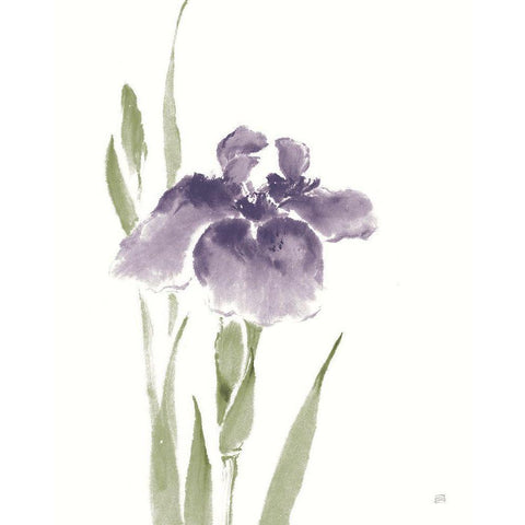 Japanese Iris III Purple Crop Black Modern Wood Framed Art Print by Paschke, Chris