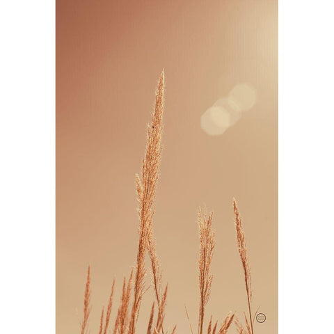 Noon Grasses I Black Modern Wood Framed Art Print by Larson, Nathan
