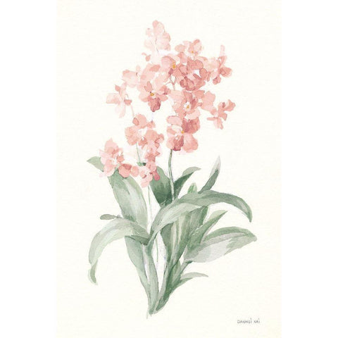 Spring Orchid I Black Modern Wood Framed Art Print with Double Matting by Nai, Danhui