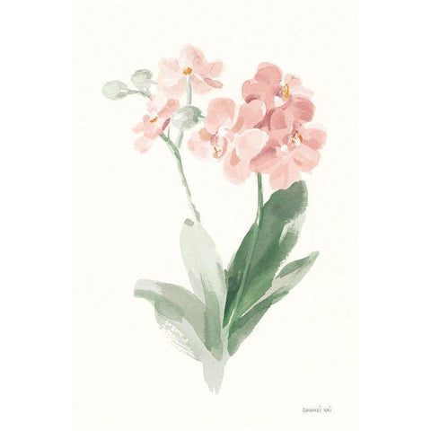 Spring Orchid II White Modern Wood Framed Art Print by Nai, Danhui