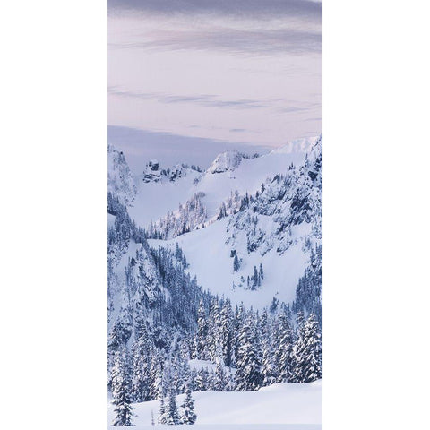 Tatoosh Range Triptych I Gold Ornate Wood Framed Art Print with Double Matting by Majchrowicz, Alan