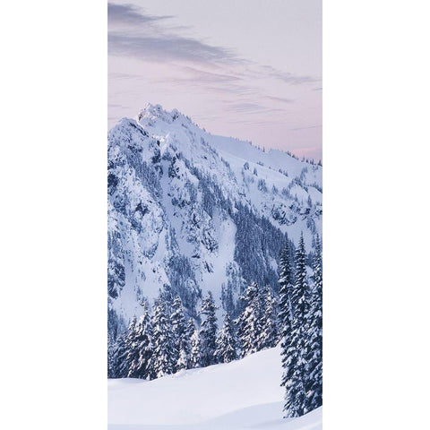 Tatoosh Range Triptych II White Modern Wood Framed Art Print by Majchrowicz, Alan