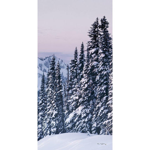 Tatoosh Range Panel III Gold Ornate Wood Framed Art Print with Double Matting by Majchrowicz, Alan