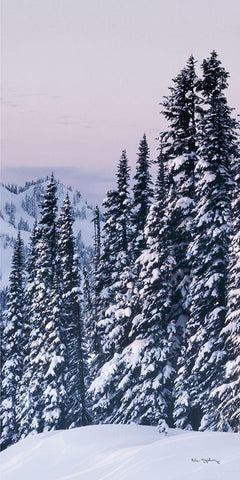 Tatoosh Range Panel III Black Ornate Wood Framed Art Print with Double Matting by Majchrowicz, Alan