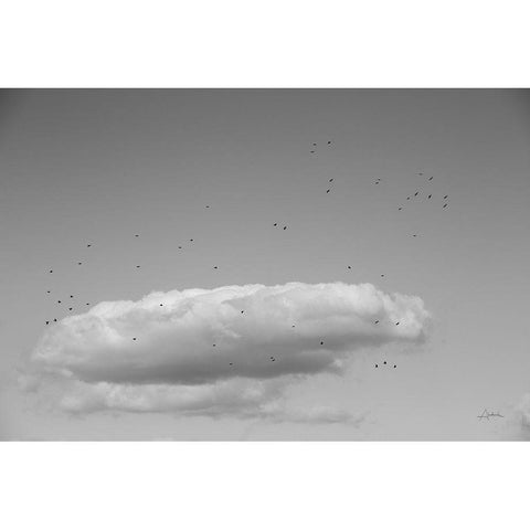 Flock in Flight White Modern Wood Framed Art Print by Aledanda