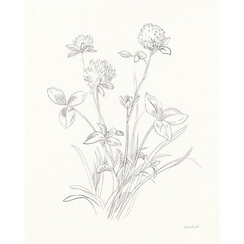 Nature Sketchbook VIII White Modern Wood Framed Art Print by Nai, Danhui