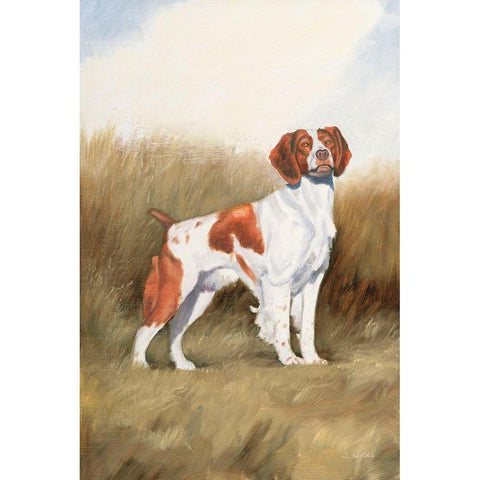 Hunting Dog I Black Modern Wood Framed Art Print with Double Matting by Wiens, James