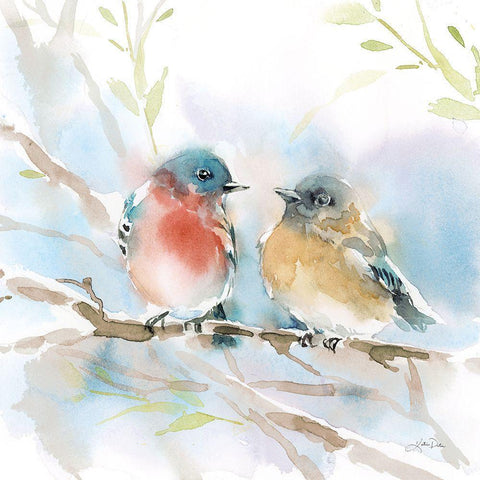 Bluebird Pair in Spring White Modern Wood Framed Art Print with Double Matting by Pete, Katrina
