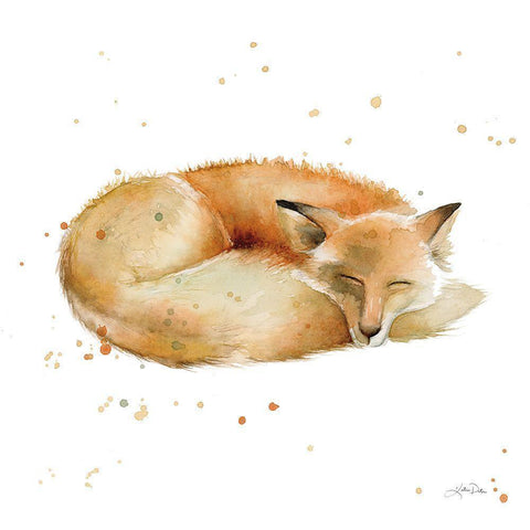 Sleeping Fox Black Modern Wood Framed Art Print with Double Matting by Pete, Katrina