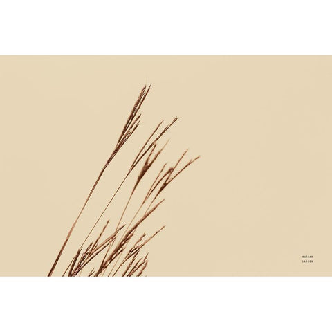 Lakeside Grasses IV Black Modern Wood Framed Art Print with Double Matting by Larson, Nathan