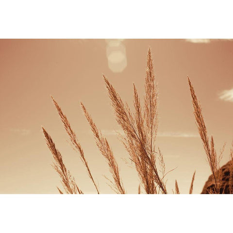 Lakeside Grasses VI Black Modern Wood Framed Art Print by Larson, Nathan