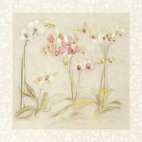 The Dance of the Orchids Black Modern Wood Framed Art Print by Blum, Cheri