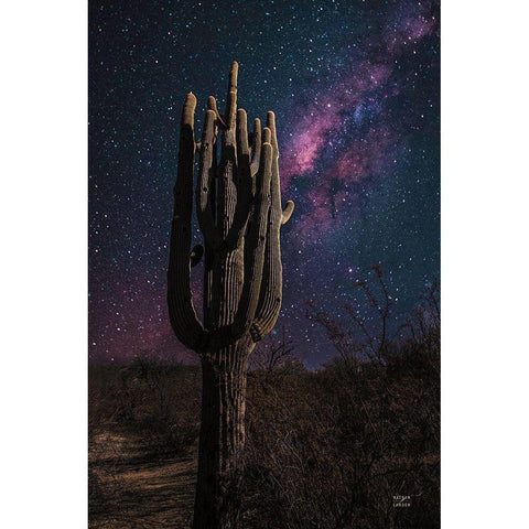 Desert Nights White Modern Wood Framed Art Print by Larson, Nathan