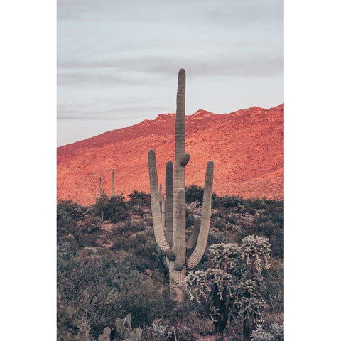 Sunsets and Saguaros I White Modern Wood Framed Art Print by Larson, Nathan