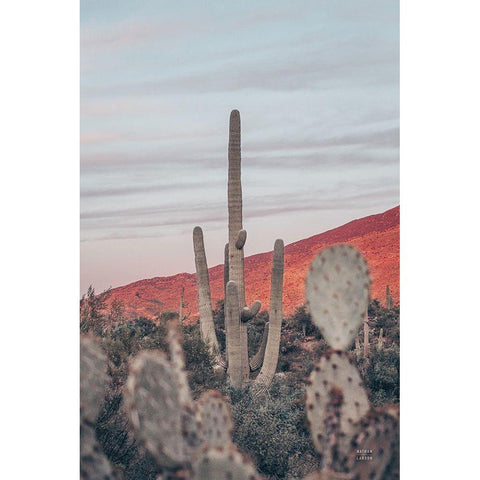 Sunsets and Saguaros II Black Modern Wood Framed Art Print with Double Matting by Larson, Nathan
