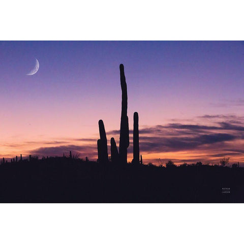 Desert Moons Gold Ornate Wood Framed Art Print with Double Matting by Larson, Nathan