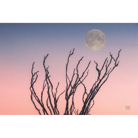 Reaching Up Moon White Modern Wood Framed Art Print by Larson, Nathan