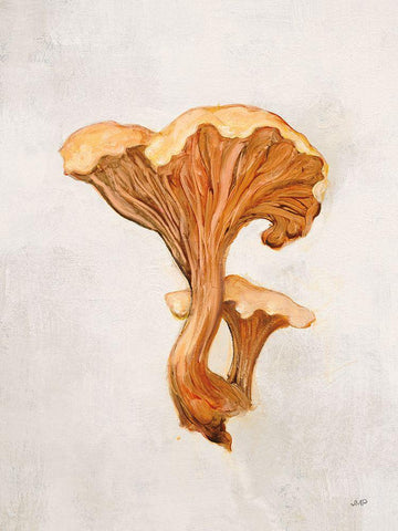 Woodland Mushroom IV White Modern Wood Framed Art Print with Double Matting by Purinton, Julia