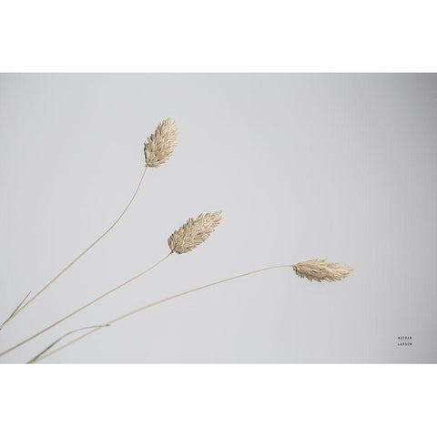 Grass Study Color White Modern Wood Framed Art Print by Larson, Nathan