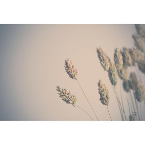 Dried Grass Study Gold Ornate Wood Framed Art Print with Double Matting by Larson, Nathan