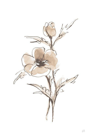 Wash Anemone I Neutral White Modern Wood Framed Art Print with Double Matting by Paschke, Chris