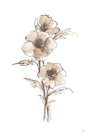 Wash Anemone II Neutral White Modern Wood Framed Art Print with Double Matting by Paschke, Chris