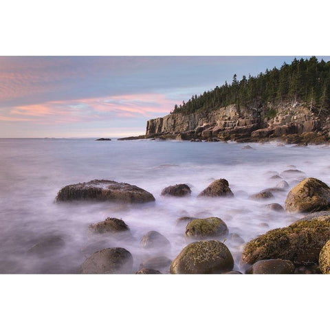 Cobblestone Beach White Modern Wood Framed Art Print by Majchrowicz, Alan