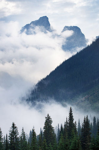 Mountain Fog White Modern Wood Framed Art Print with Double Matting by Majchrowicz, Alan