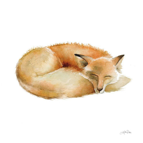 Sleeping Fox on White Black Modern Wood Framed Art Print with Double Matting by Pete, Katrina