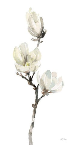 White Magnolia I White Modern Wood Framed Art Print with Double Matting by Pete, Katrina