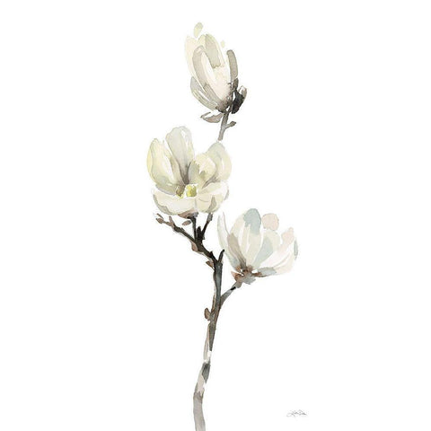 White Magnolia I Black Modern Wood Framed Art Print with Double Matting by Pete, Katrina